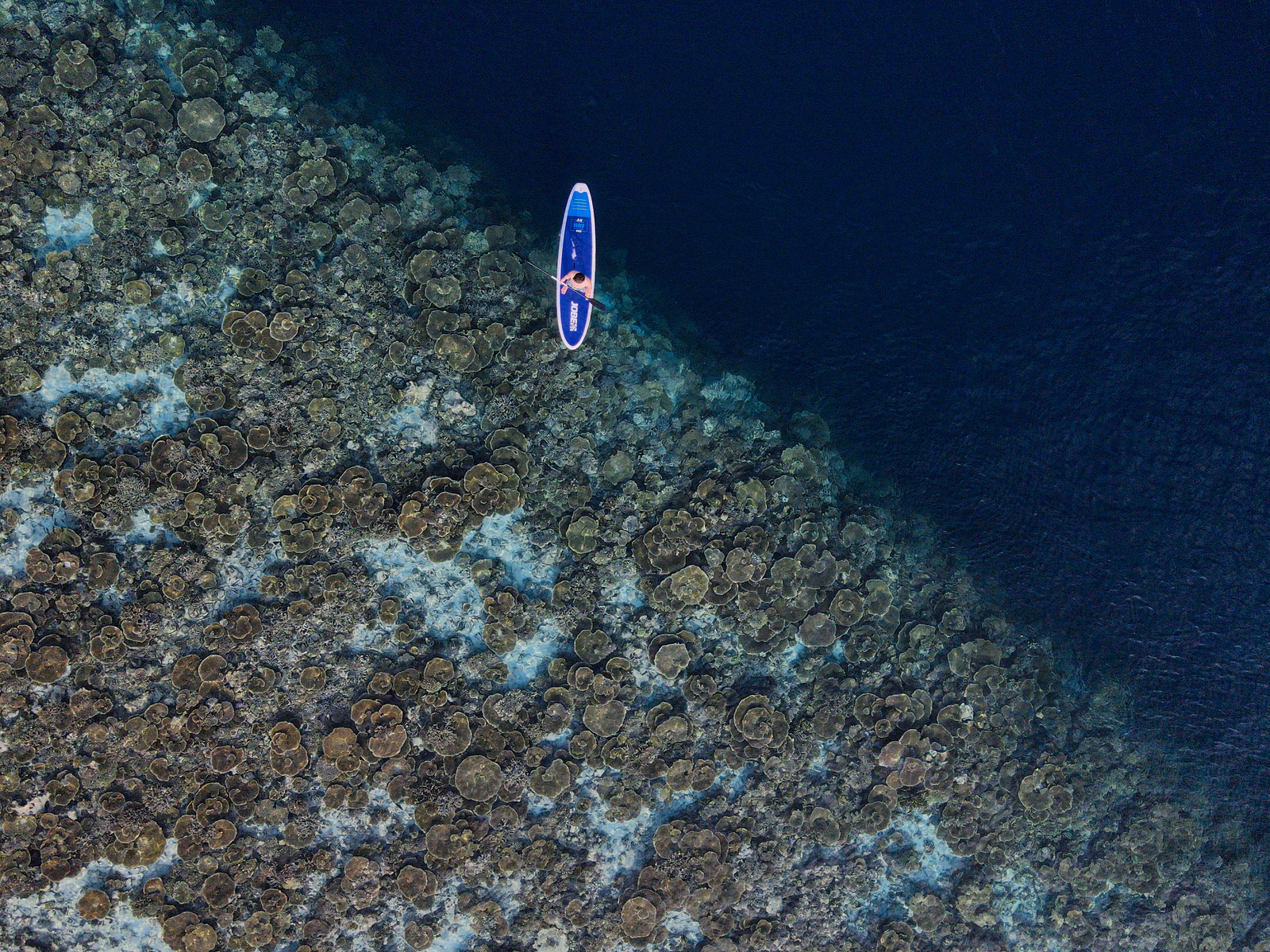 A paddleboarder gliding above a broad coral reef in clear water