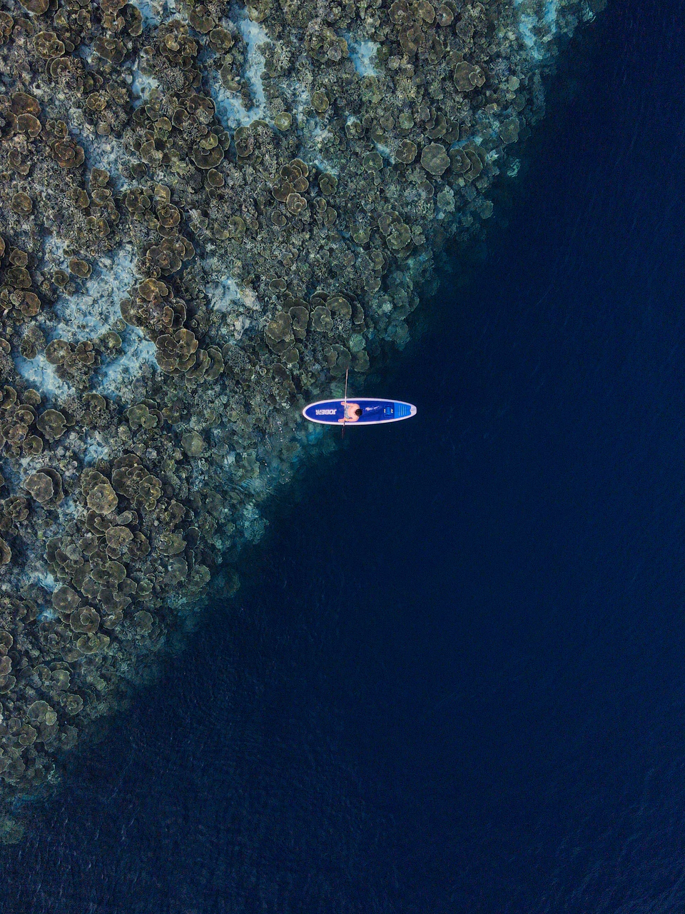 Top-down view of a paddleboarder above deep water and coral reef