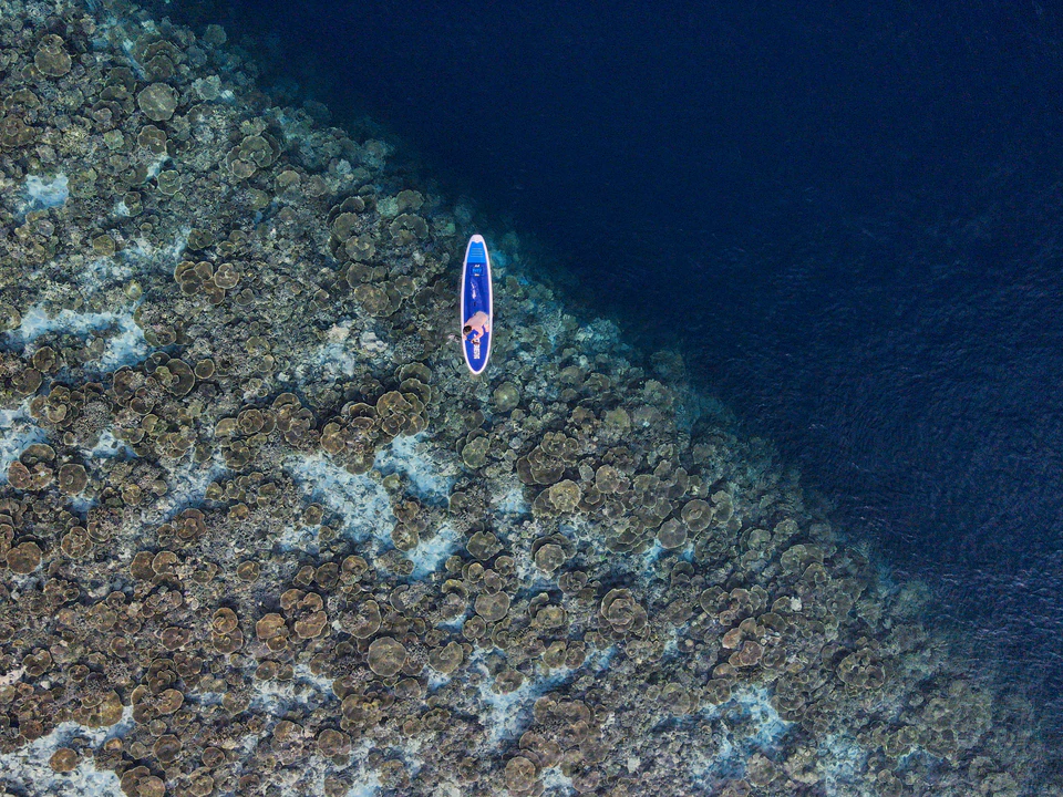 Alternate top-down view of a paddleboarder above coral
