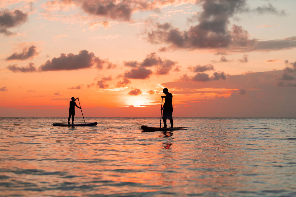 Two stand-up paddleboarders silhouetted against the sunset