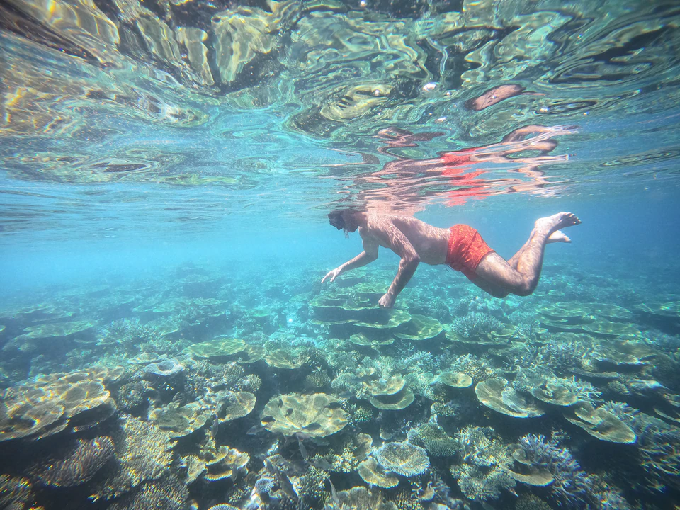 Snorkeler swimming just above a shallow coral garden